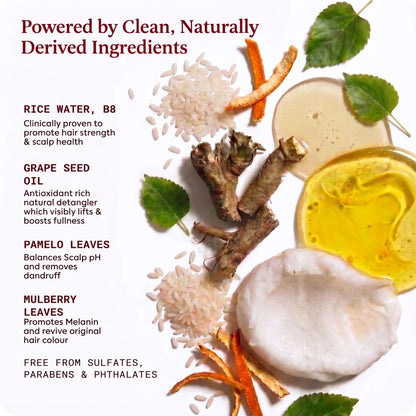 Shampoo Bar - Fermented Rice Water™
